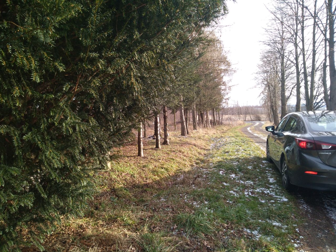 dom wolnostojący, 5 pokoi Janówka. Zdjęcie 12