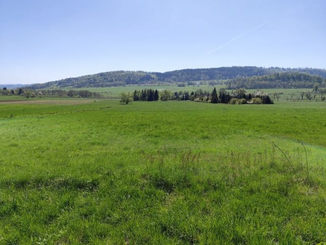 Działka rolna Płonina. Zdjęcie 1