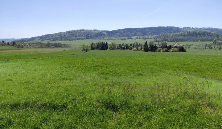 Działka rolna Płonina