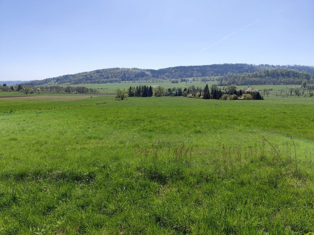 Działka rolna Płonina