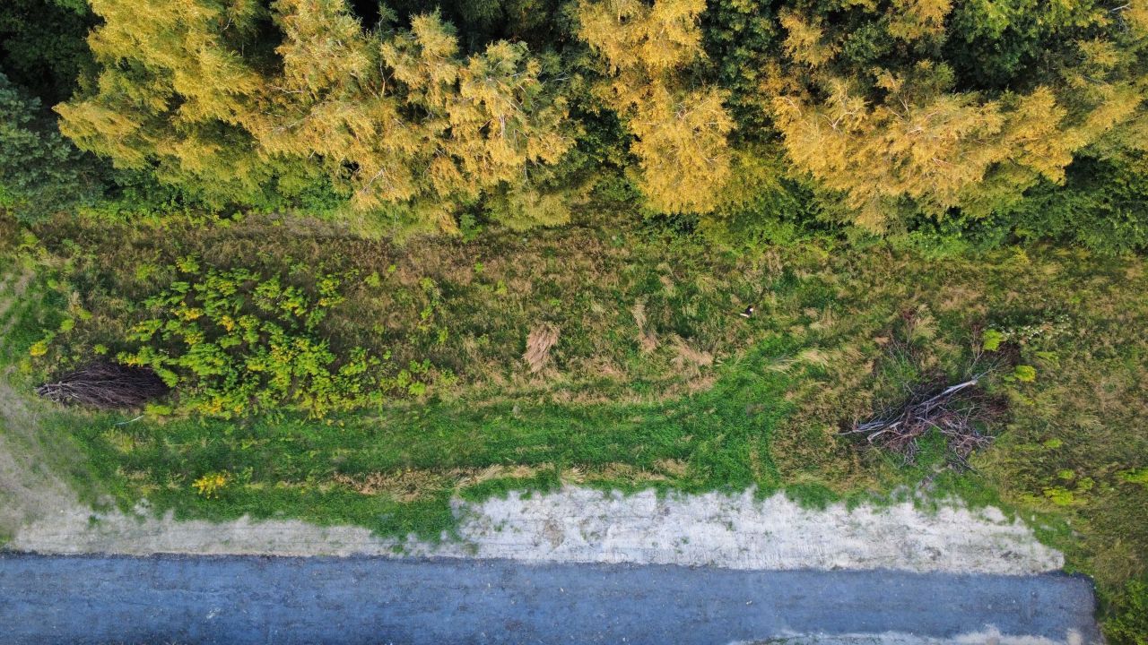 Działka budowlana Krostoszowice, ul. Wodzisławska. Zdjęcie 3