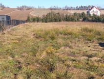 Działka rolno-budowlana Borówno. Zdjęcie 1