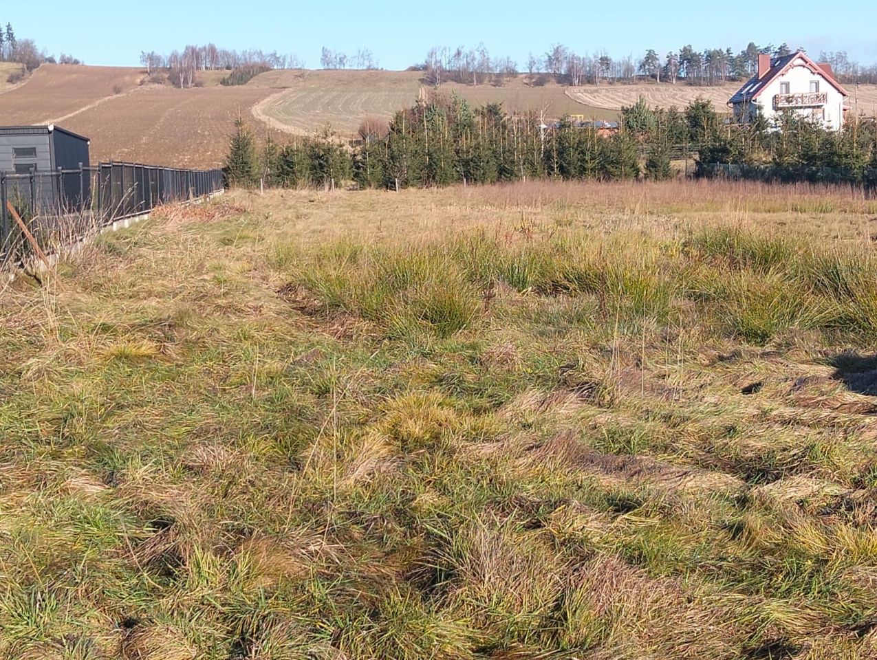 Działka rolno-budowlana Borówno. Zdjęcie 2