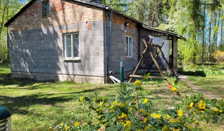 siedlisko Zaręby, ul. Kuropatwy