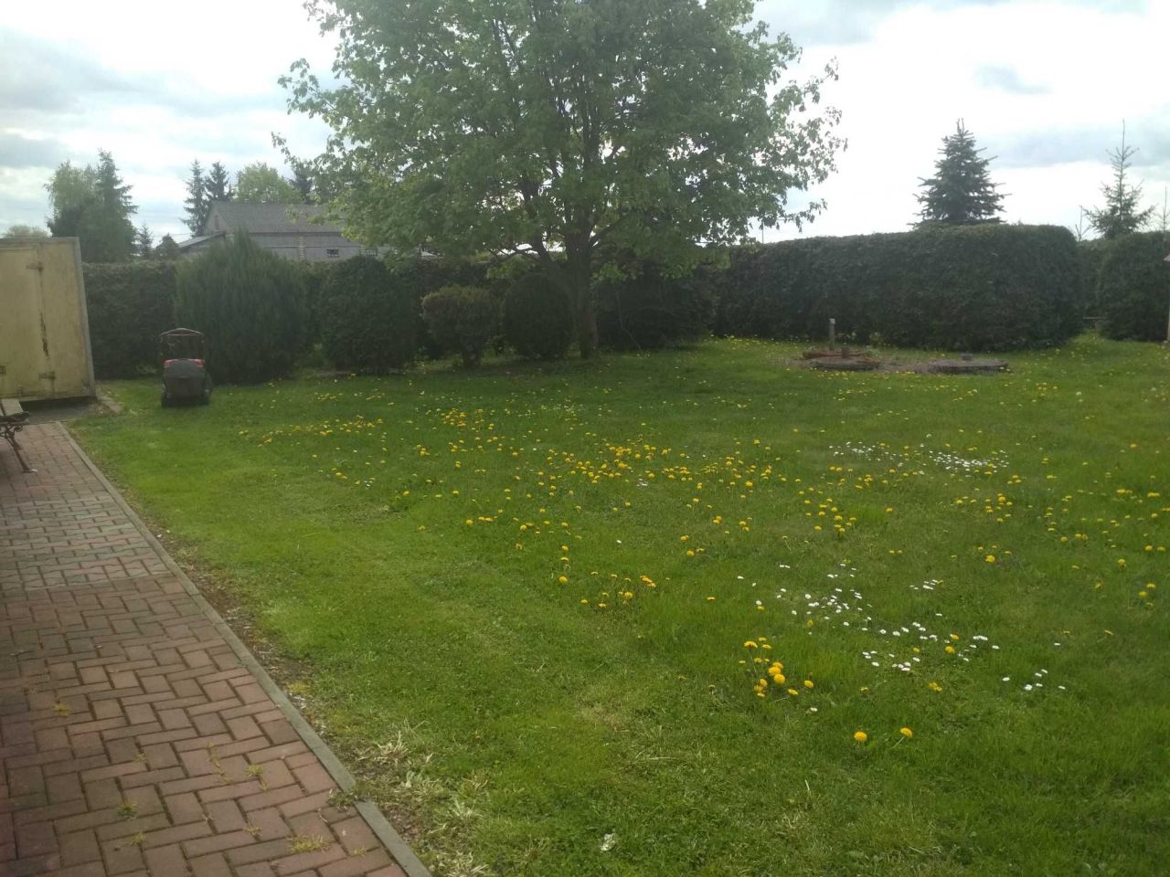 Lokal Terebiń. Zdjęcie 7