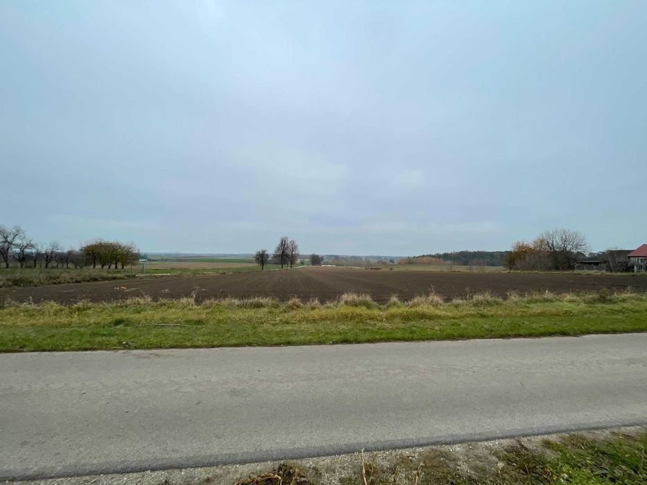 Działka rolna Jankowice. Zdjęcie 7