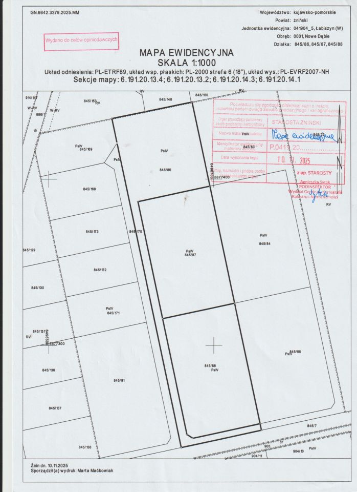 Działka budowlana Nowe Dąbie. Zdjęcie 1