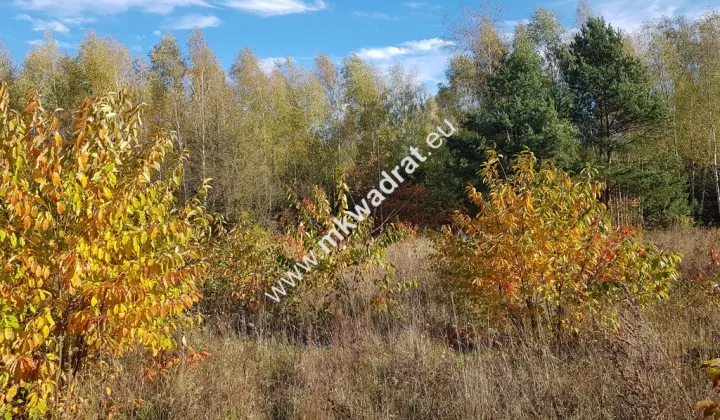 Działka budowlana Grabina Radziwiłłowska