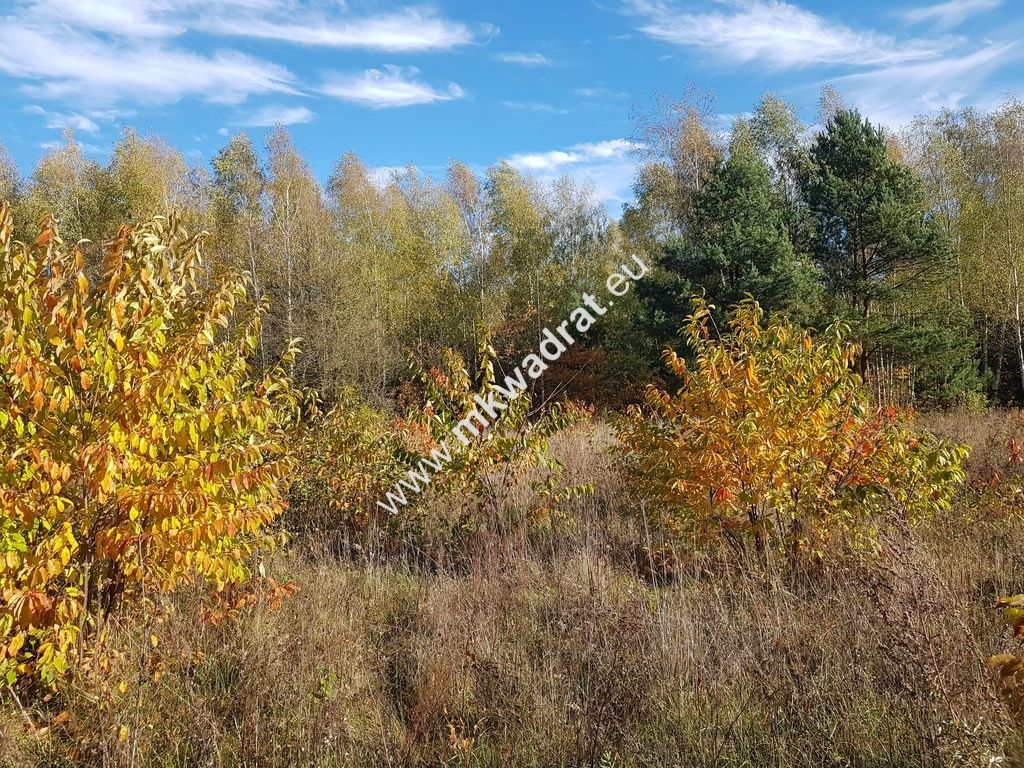 Działka budowlana Grabina Radziwiłłowska. Zdjęcie 1