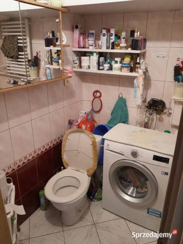 Mieszkanie 2-pokojowe Mirogonowice. Zdjęcie 5