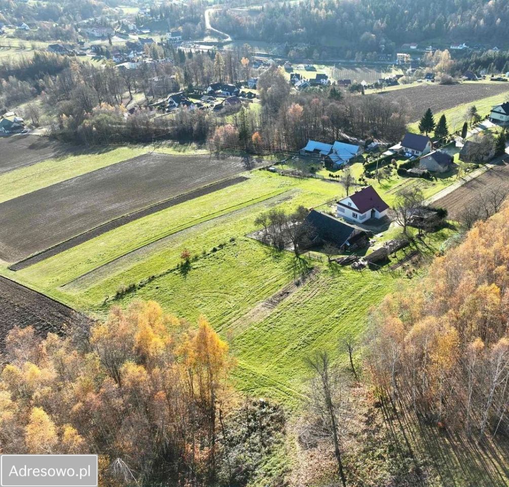 Działka rolno-budowlana Olszowa. Zdjęcie 1