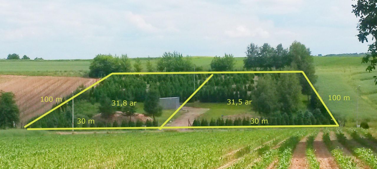 Działka siedliskowa Batycze. Zdjęcie 3