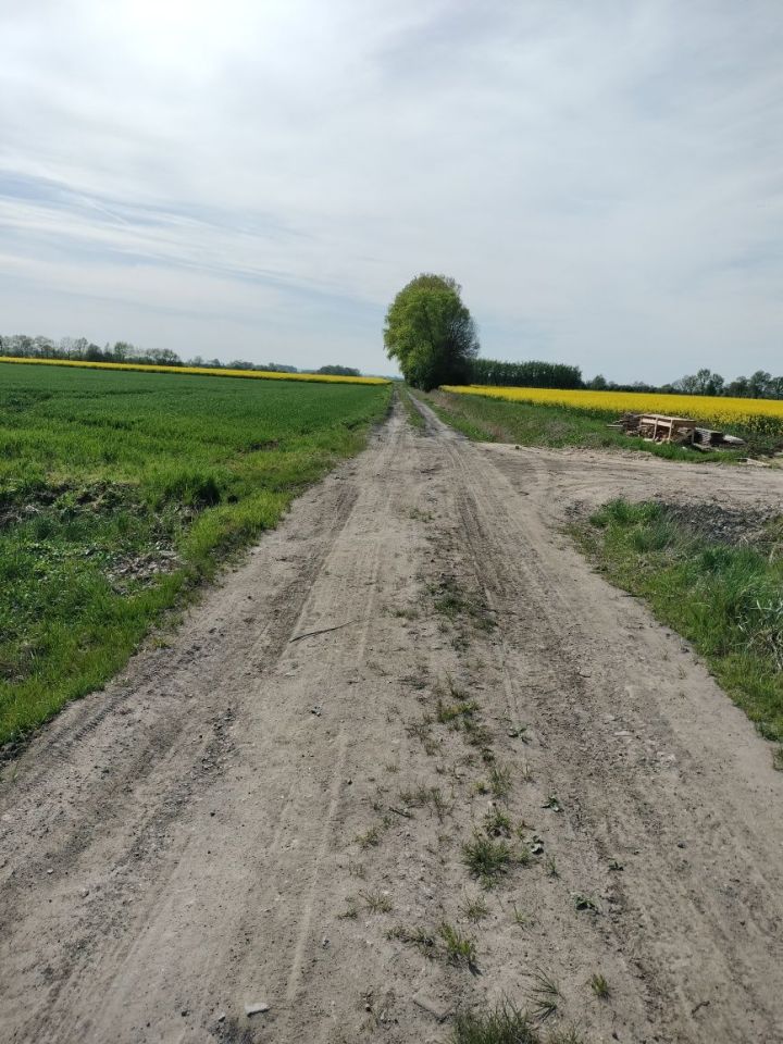 Działka siedliskowa Cedry Małe. Zdjęcie 3