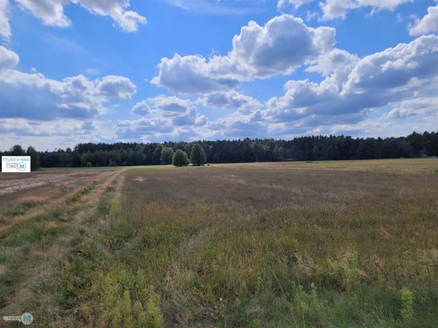 Działka rekreacyjna Kluczewsko. Zdjęcie 1