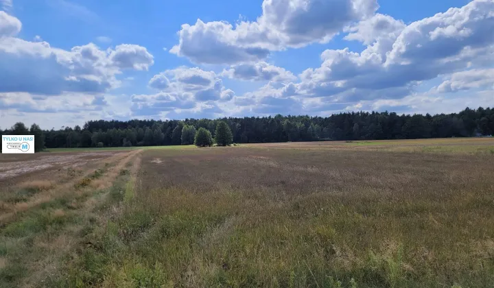 Działka rekreacyjna Kluczewsko