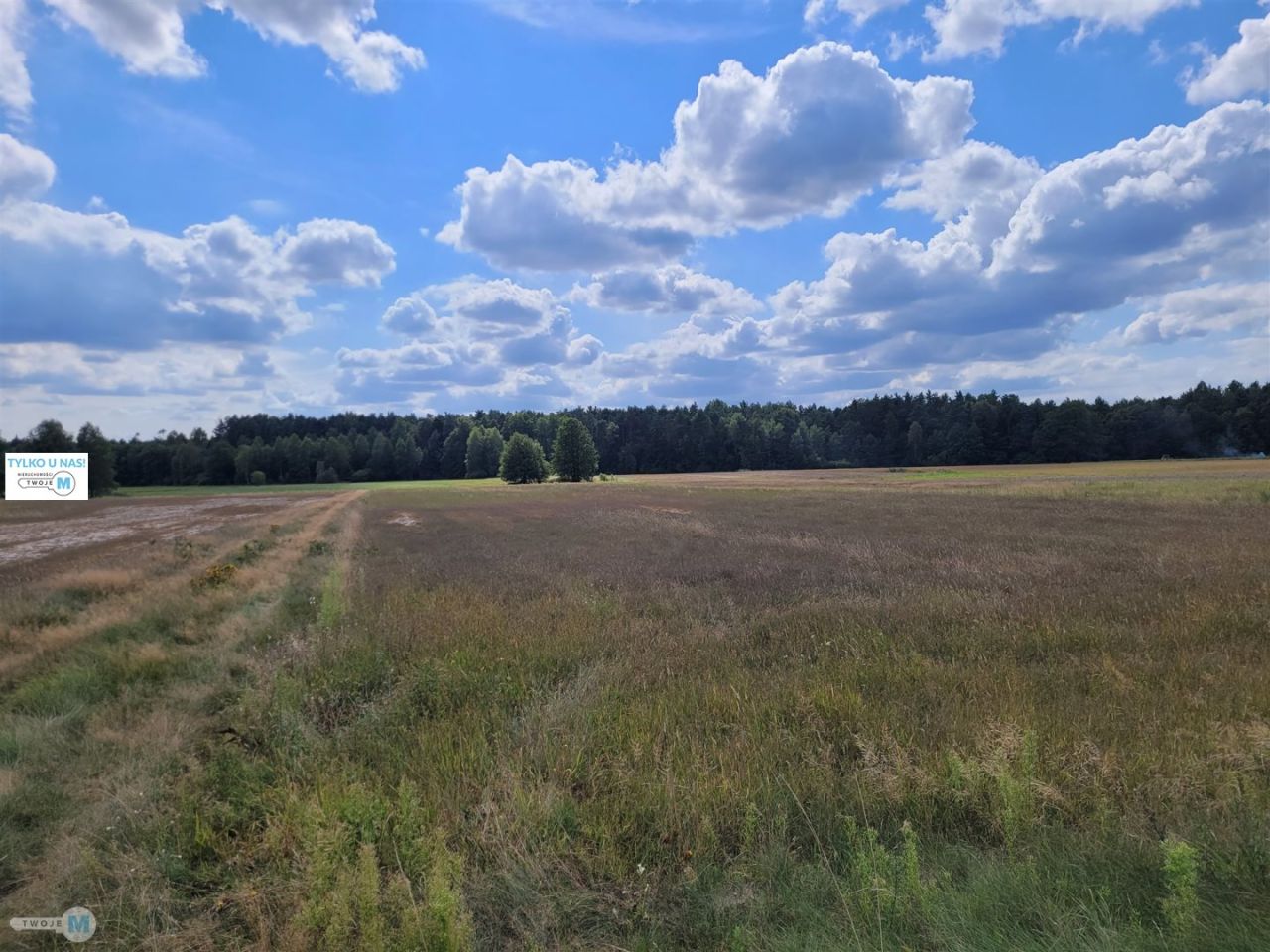 Działka rekreacyjna Kluczewsko. Zdjęcie 1