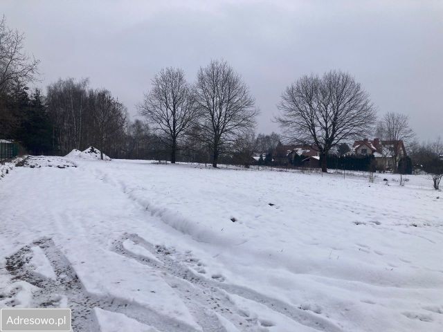 Działka inwestycyjna Wołowice. Zdjęcie 1