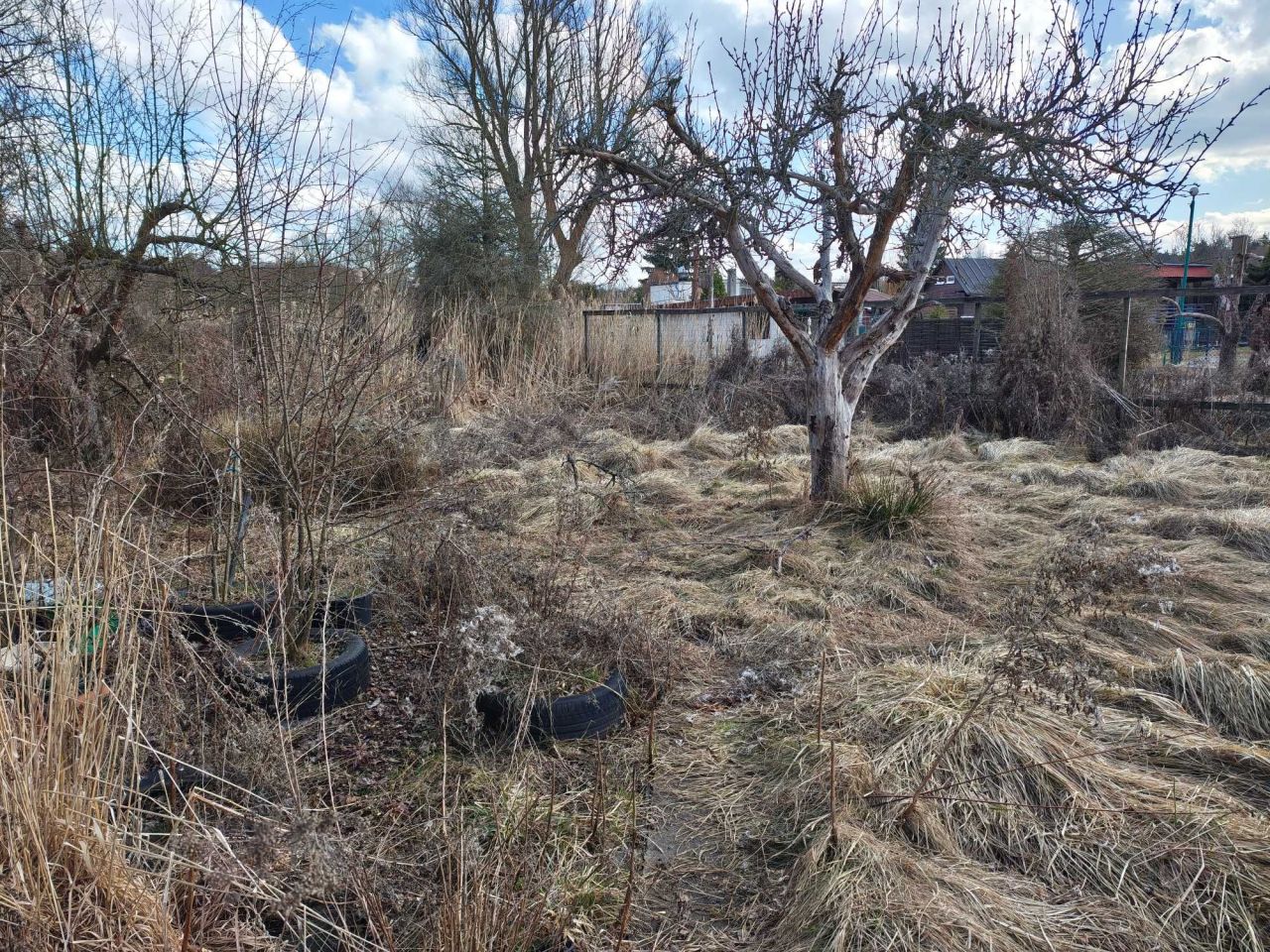 Działka rod Grudziądz, ul. Toruńska. Zdjęcie 3