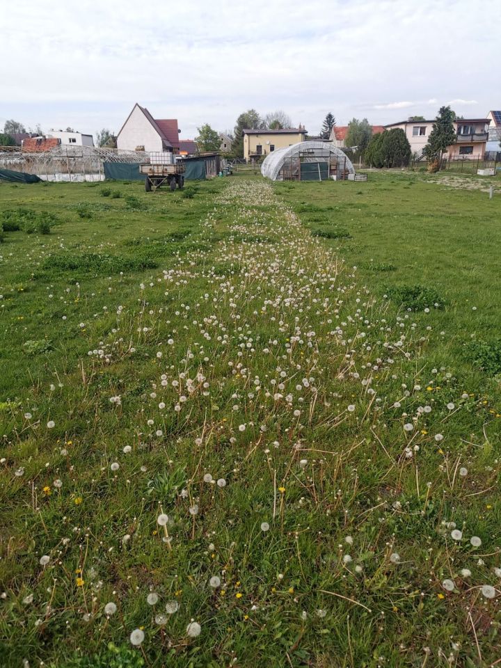 Działka rolno-budowlana Szymanów, ul. Mostowa. Zdjęcie 6
