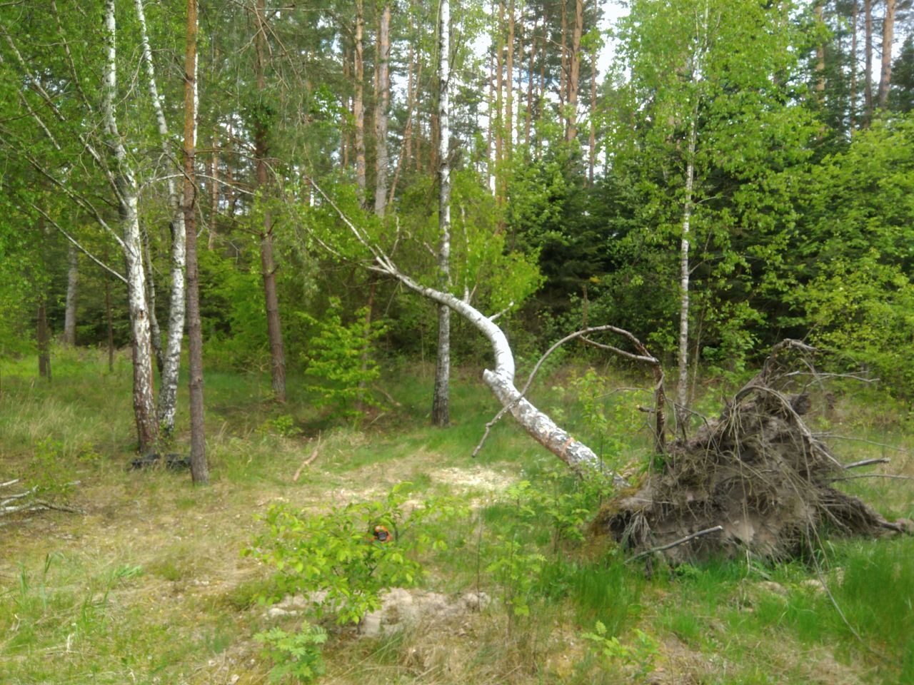 Działka budowlana Zwierzyniec, ul. Klonowa. Zdjęcie 3