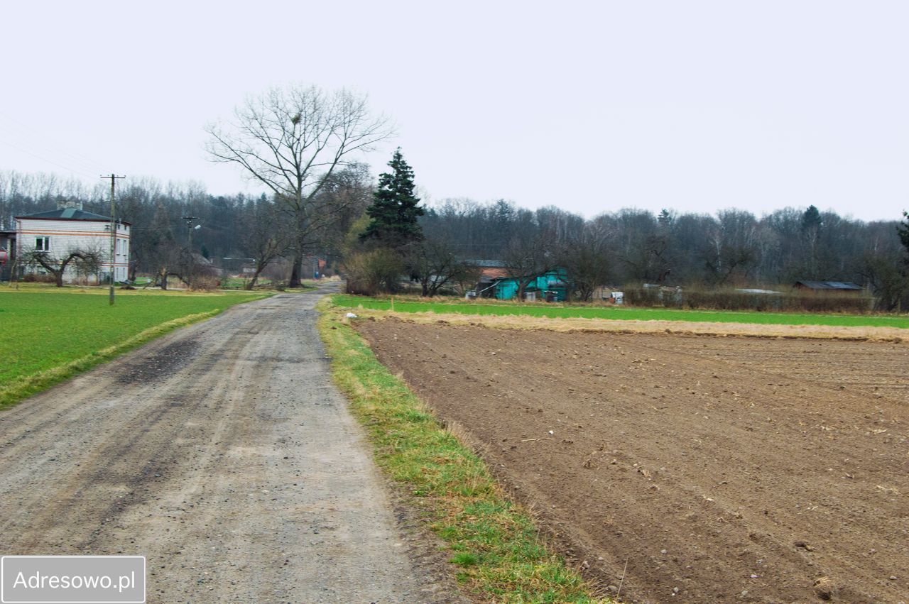 Działka rolna Przybyłów. Zdjęcie 3
