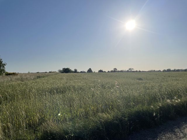 Działka inwestycyjna Prusice, ul. Polna. Zdjęcie 10