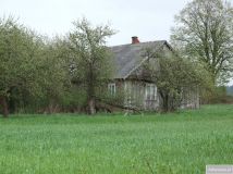 Działka siedliskowa Hruszew. Zdjęcie 1