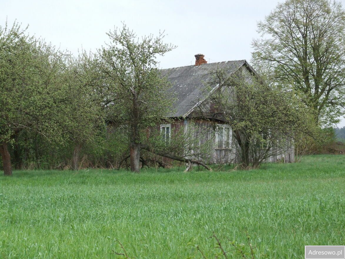 Działka siedliskowa Hruszew. Zdjęcie 2
