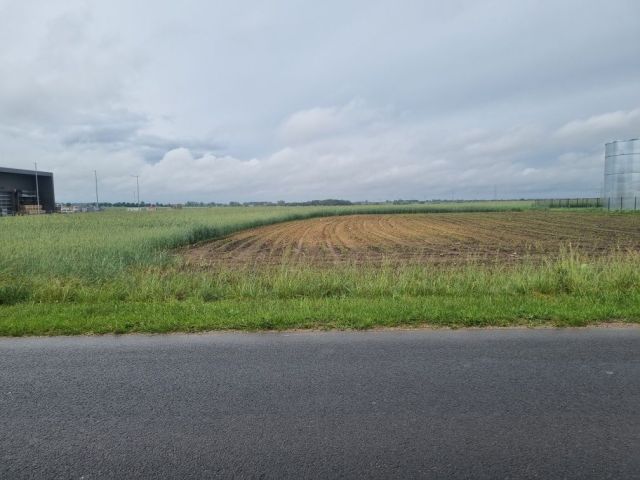 Działka inwestycyjna Widziszewo, ul. Ceramiczna. Zdjęcie 1