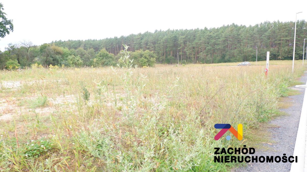 Działka budowlana Przytok. Zdjęcie 2