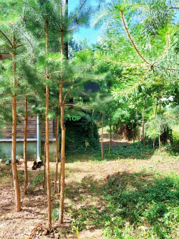 Działka budowlana Warszawa Bemowo. Zdjęcie 5