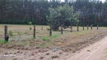 Działka rekreacyjna Podmieście. Zdjęcie 4