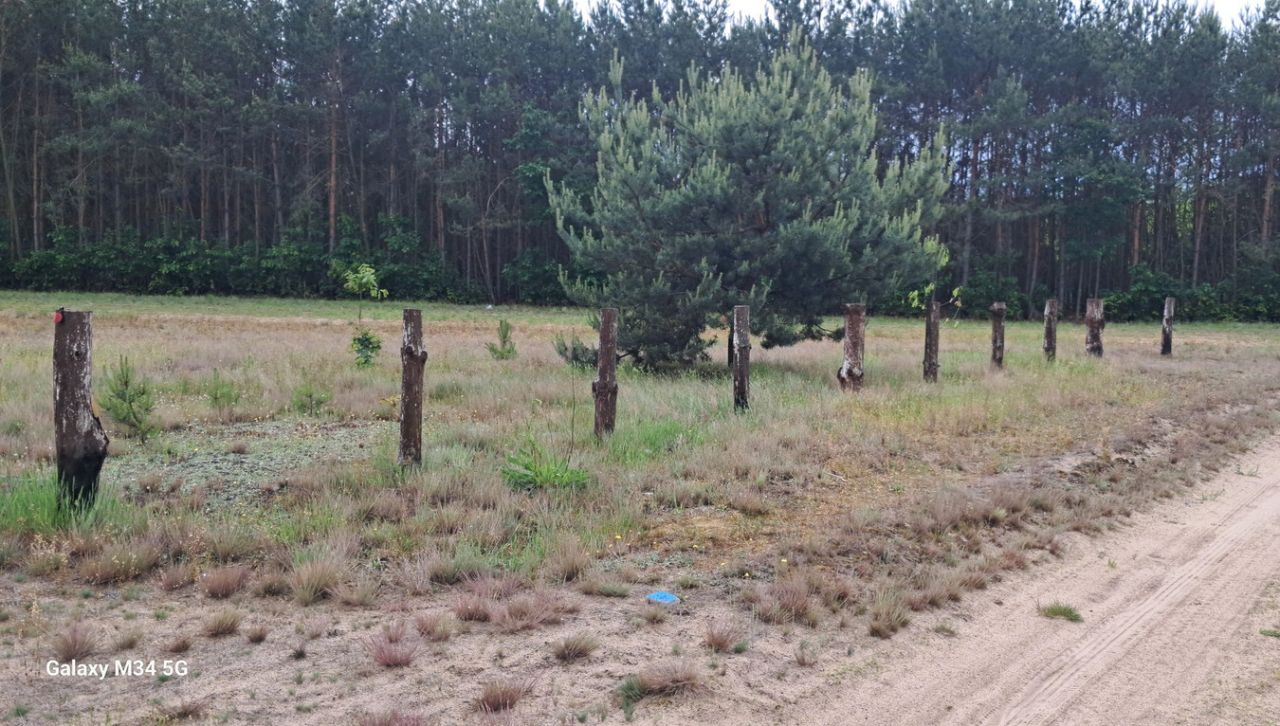 Działka rekreacyjna Podmieście. Zdjęcie 5