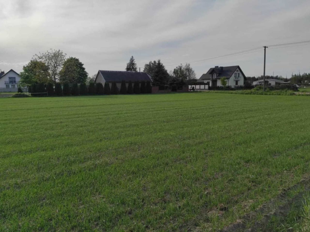 Działka rolno-budowlana Mizerka. Zdjęcie 3