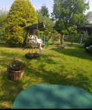 Działka rod Łódź Bałuty, ul. Telefoniczna. Zdjęcie 4