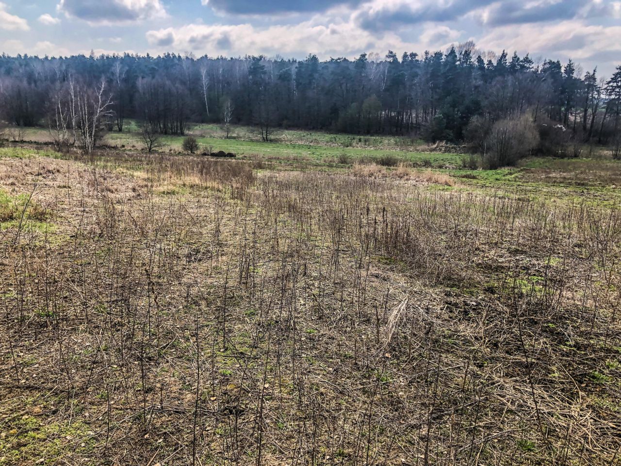 Działka rolna Łubna-Jakusy. Zdjęcie 3