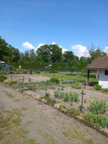 Działka rekreacyjna Opalenica. Zdjęcie 1