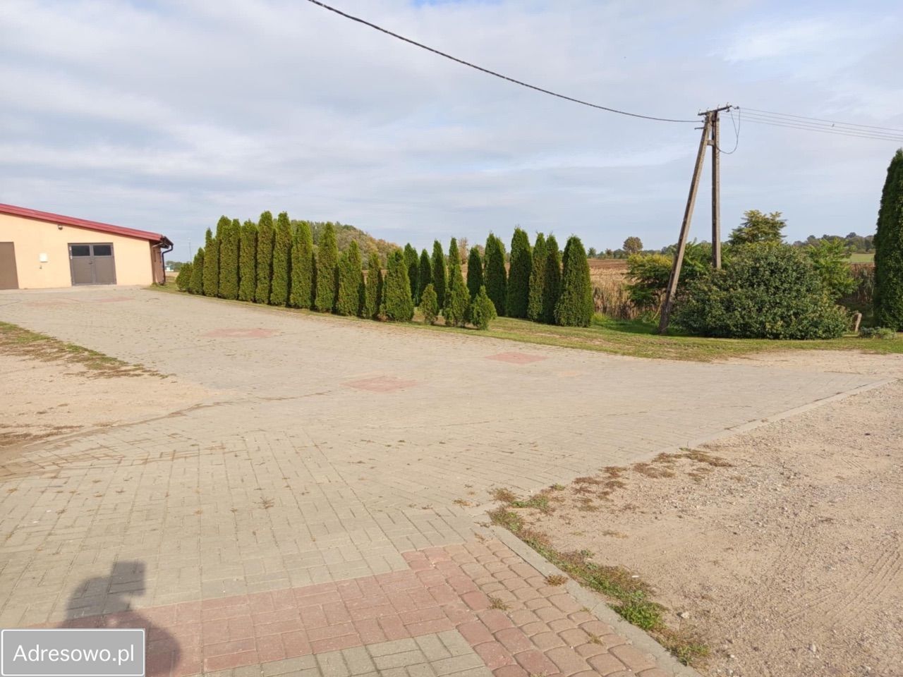 Działka rolna Milewo. Zdjęcie 13