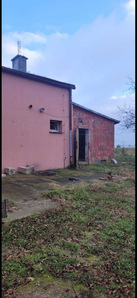 Lokal Słupia pod Bralinem. Zdjęcie 6