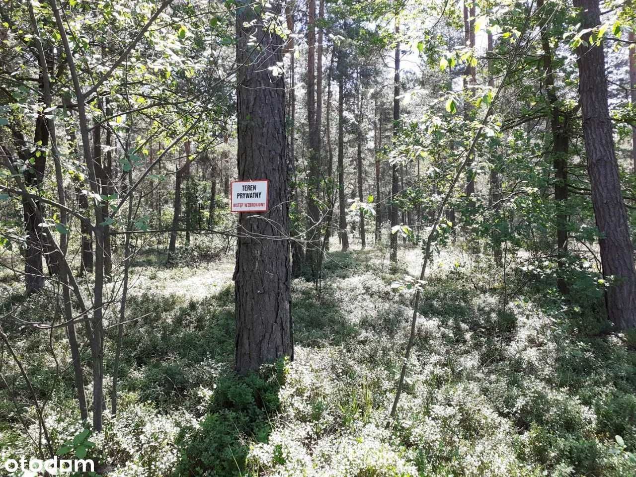 Działka budowlana Gródek. Zdjęcie 7