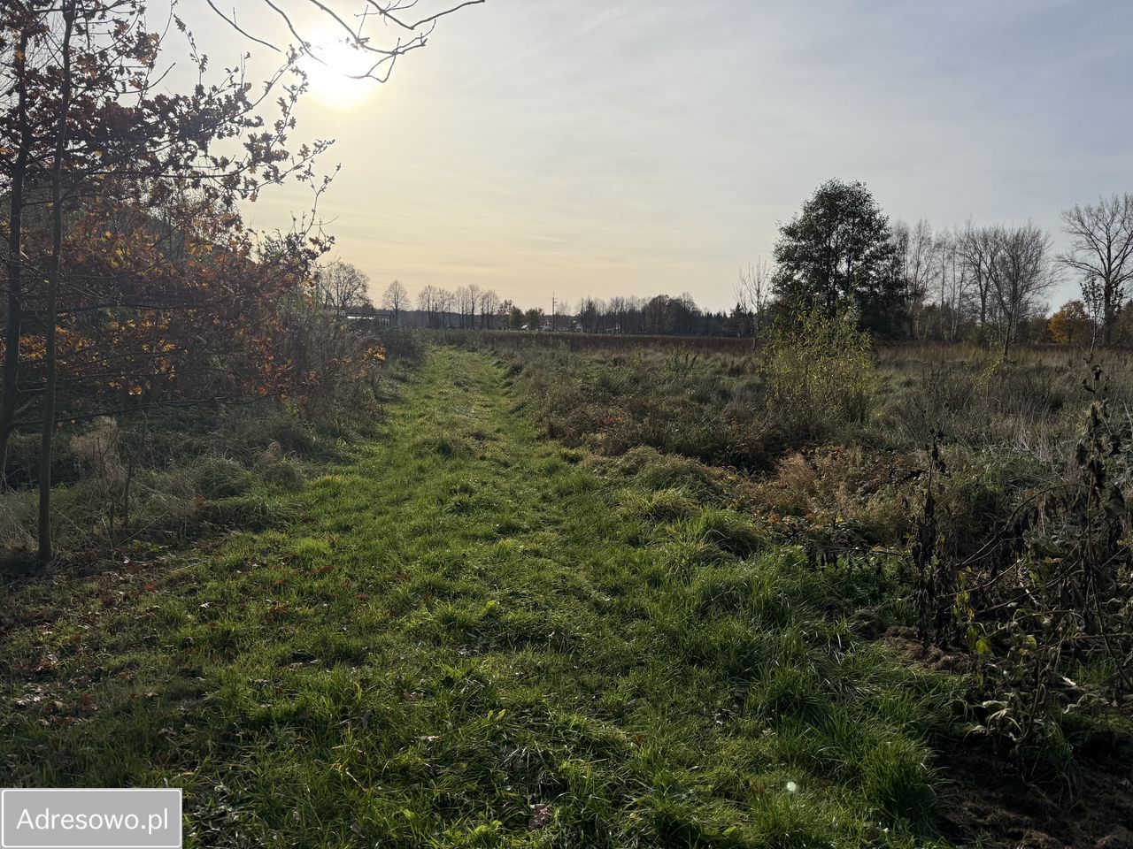 Działka rolna Sierosław. Zdjęcie 11