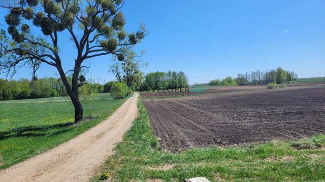 dom wolnostojący, 4 pokoje Danowo. Zdjęcie 3