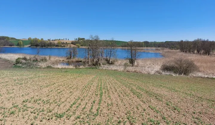Działka rolna Rudusk