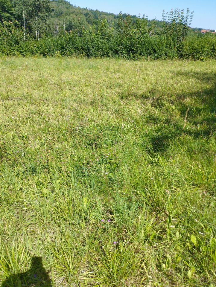Działka budowlana Olchawa Działy. Zdjęcie 9