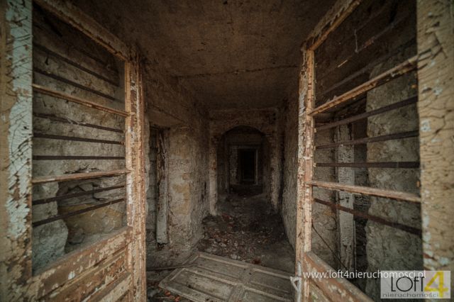 Lokal Pławna. Zdjęcie 1