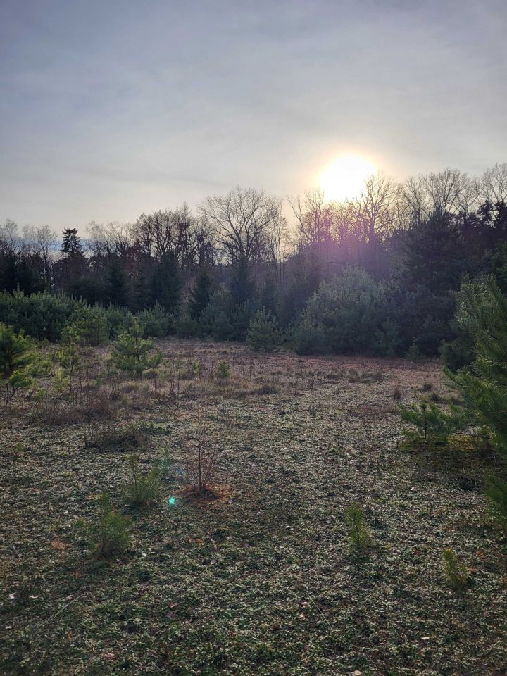 Działka budowlana Lubiaszów, ul. Dębowa. Zdjęcie 5