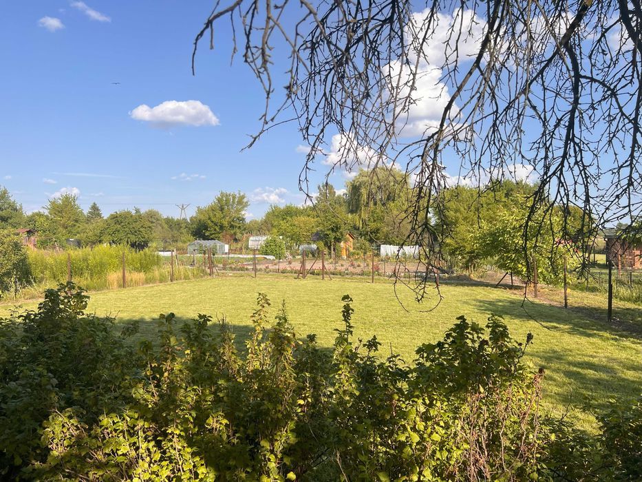 Działka rod Zamość, ul. Aleksandra Fredry. Zdjęcie 4