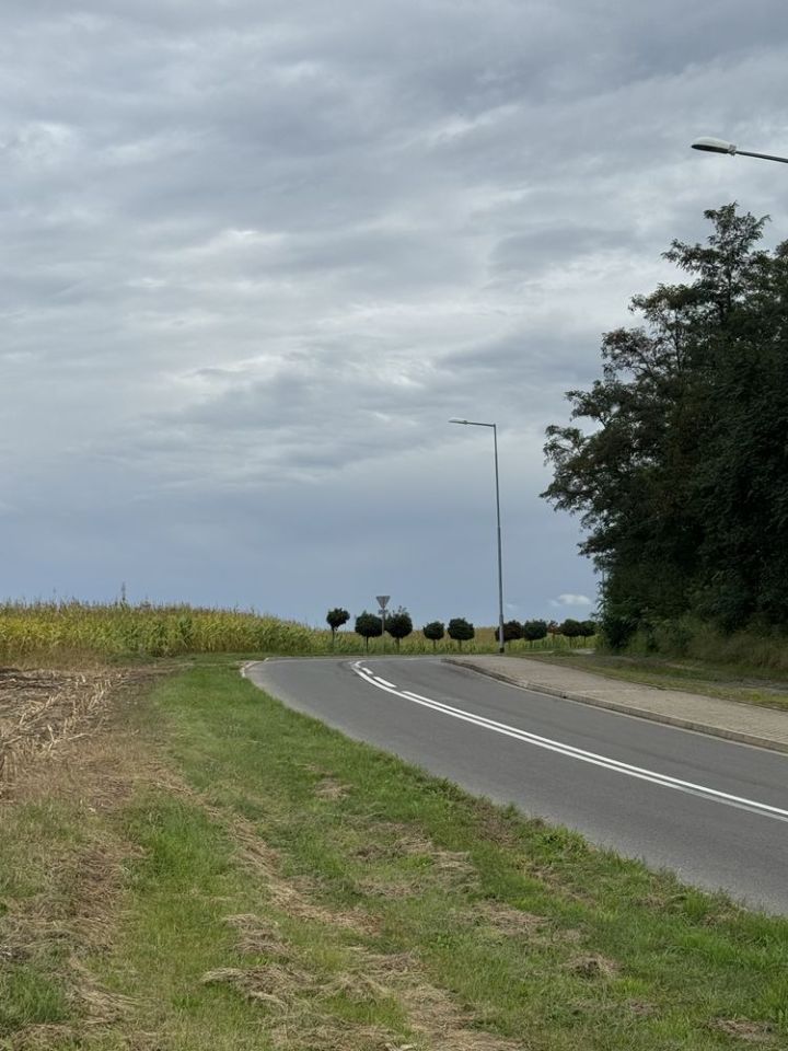 Działka budowlana Dolsk, os. Jaskółki. Zdjęcie 1