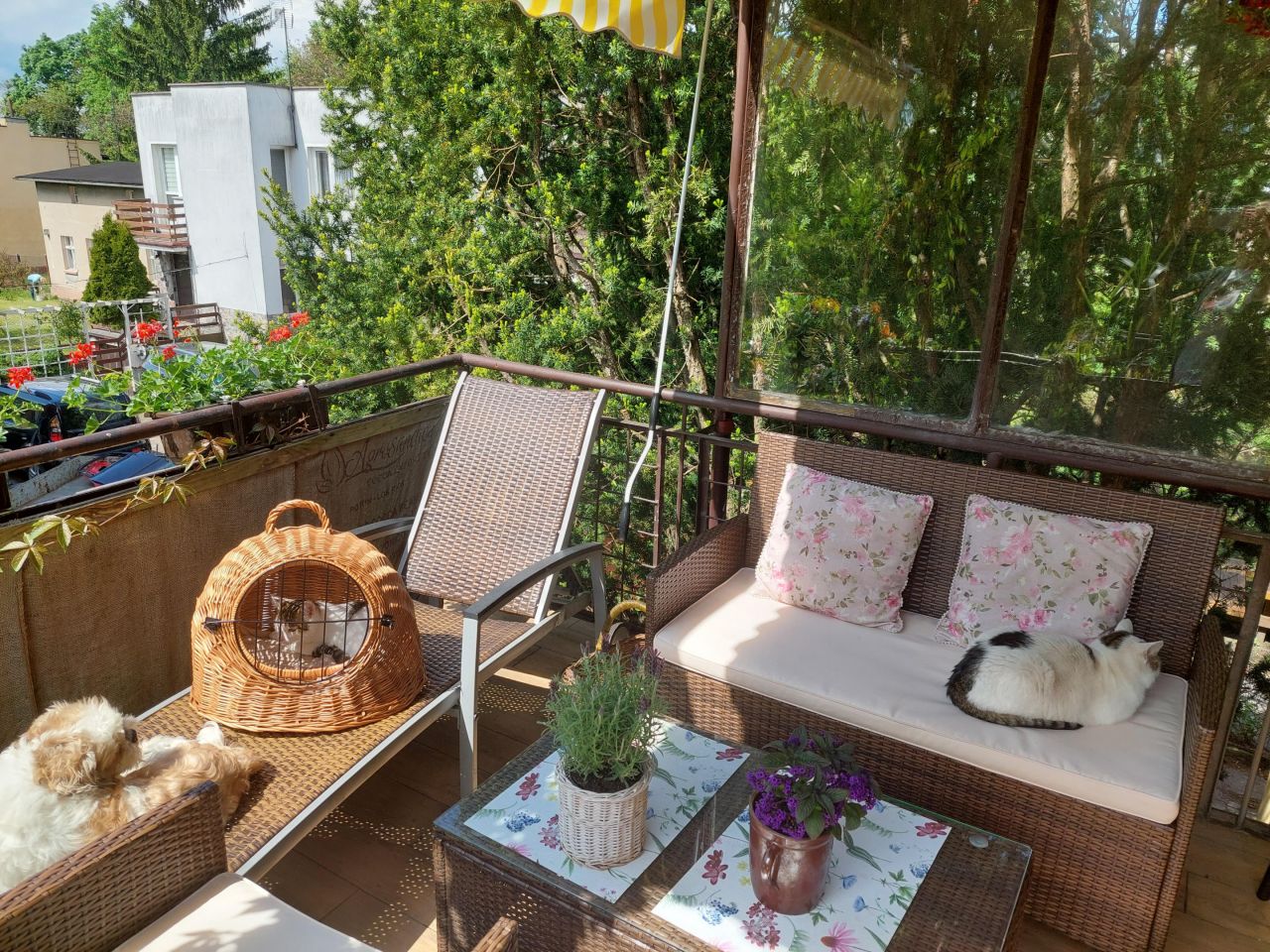 Mieszkanie 3-pokojowe Toruń Podgórz, ul. Inowrocławska. Zdjęcie 18