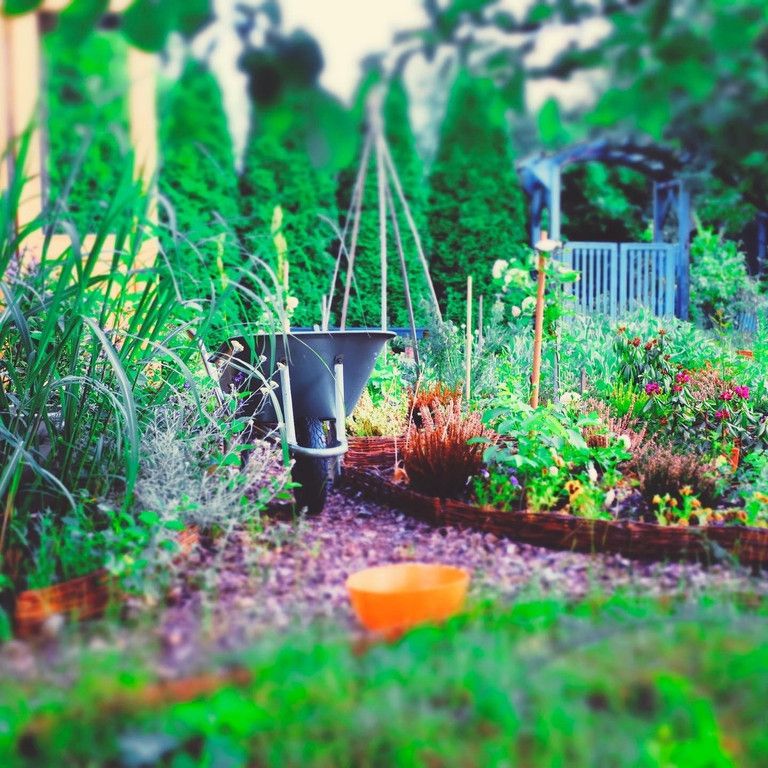 Działka rekreacyjna Opole